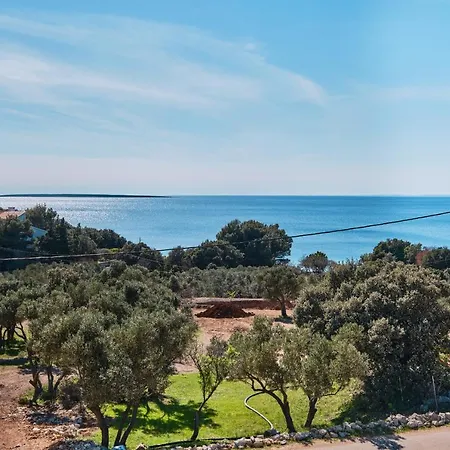 Meacres Sea Miholascica